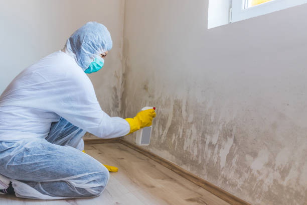 Bathroom Mold Removal assessment in Hudson bathroom